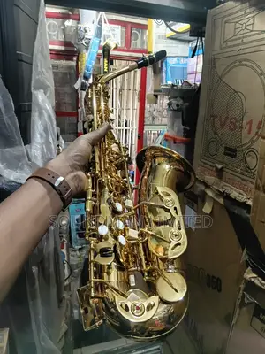 Professional Alto Saxophone Gold