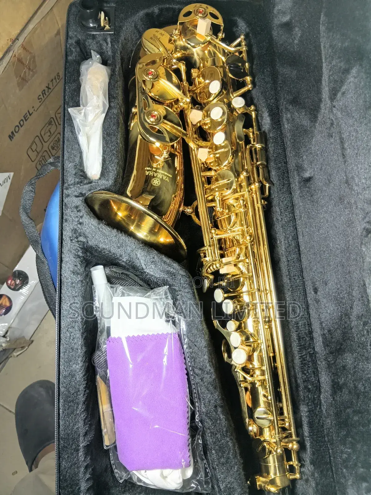 Professional Alto Saxophone Gold