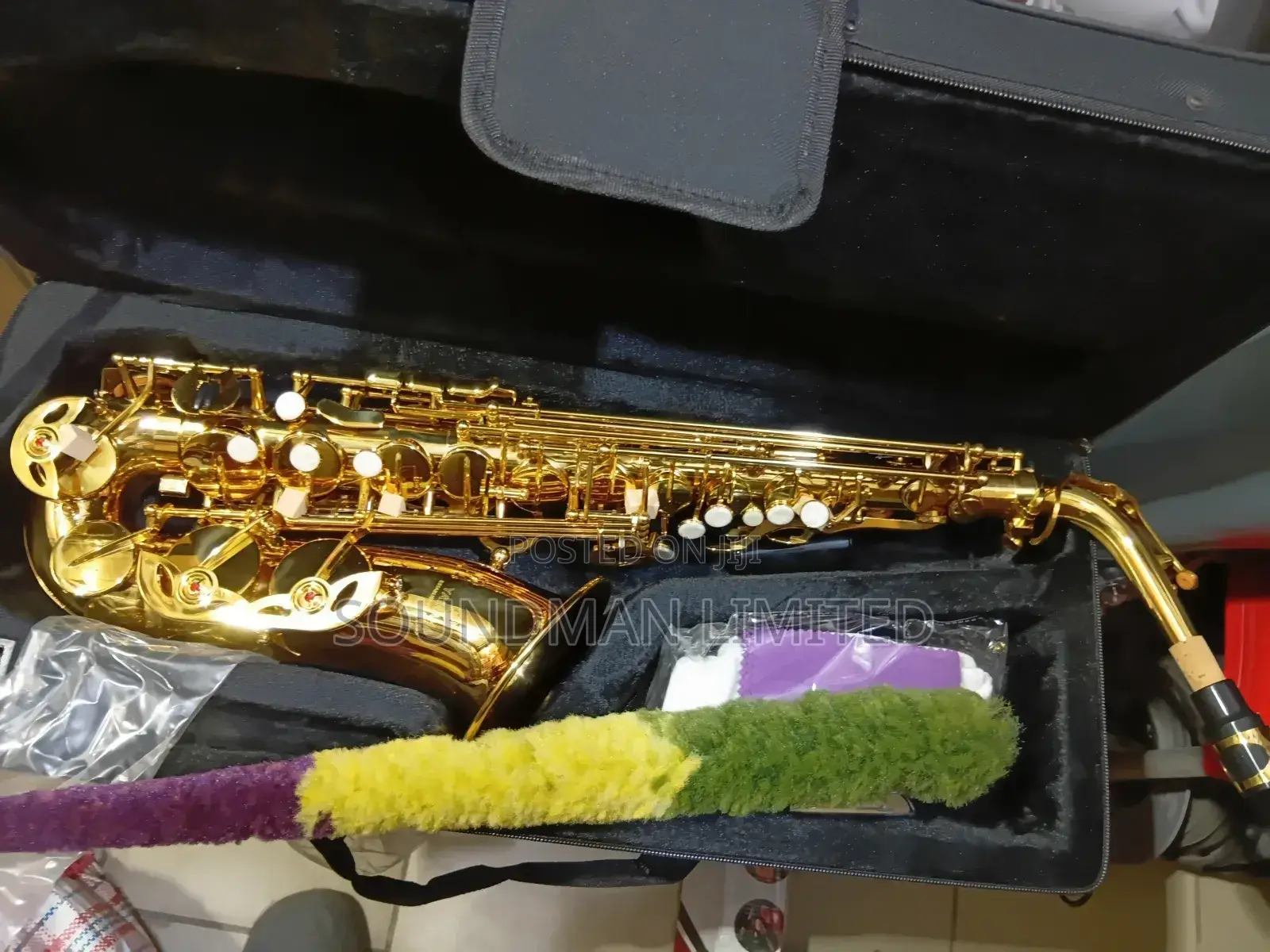 Professional Alto Saxophone Gold
