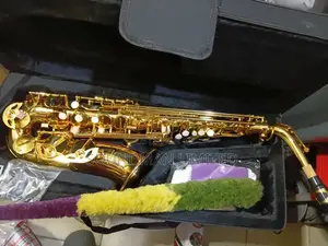 Professional Alto Saxophone Gold