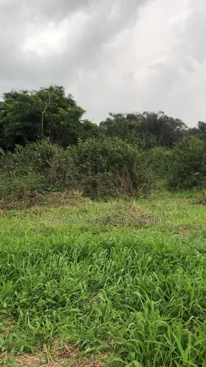 Estate Property