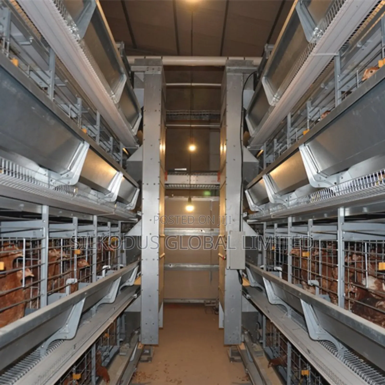 Automated Poultry Farm