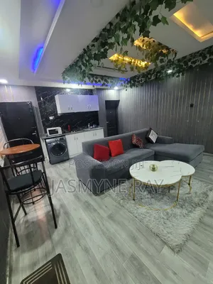 One Bedroom Apartment