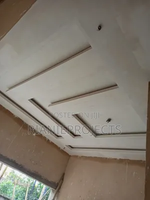 Ceiling Works