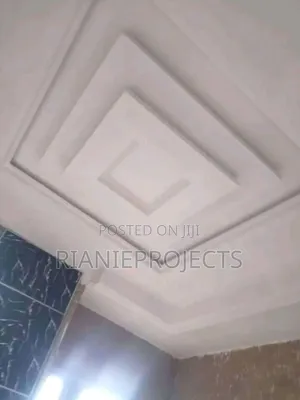 Ceiling Works