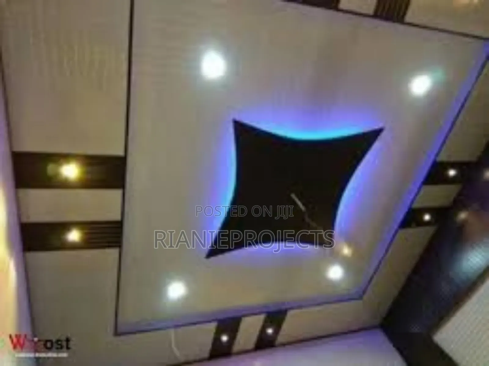 Ceiling Works