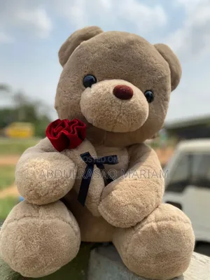 50cm Teddy Bear