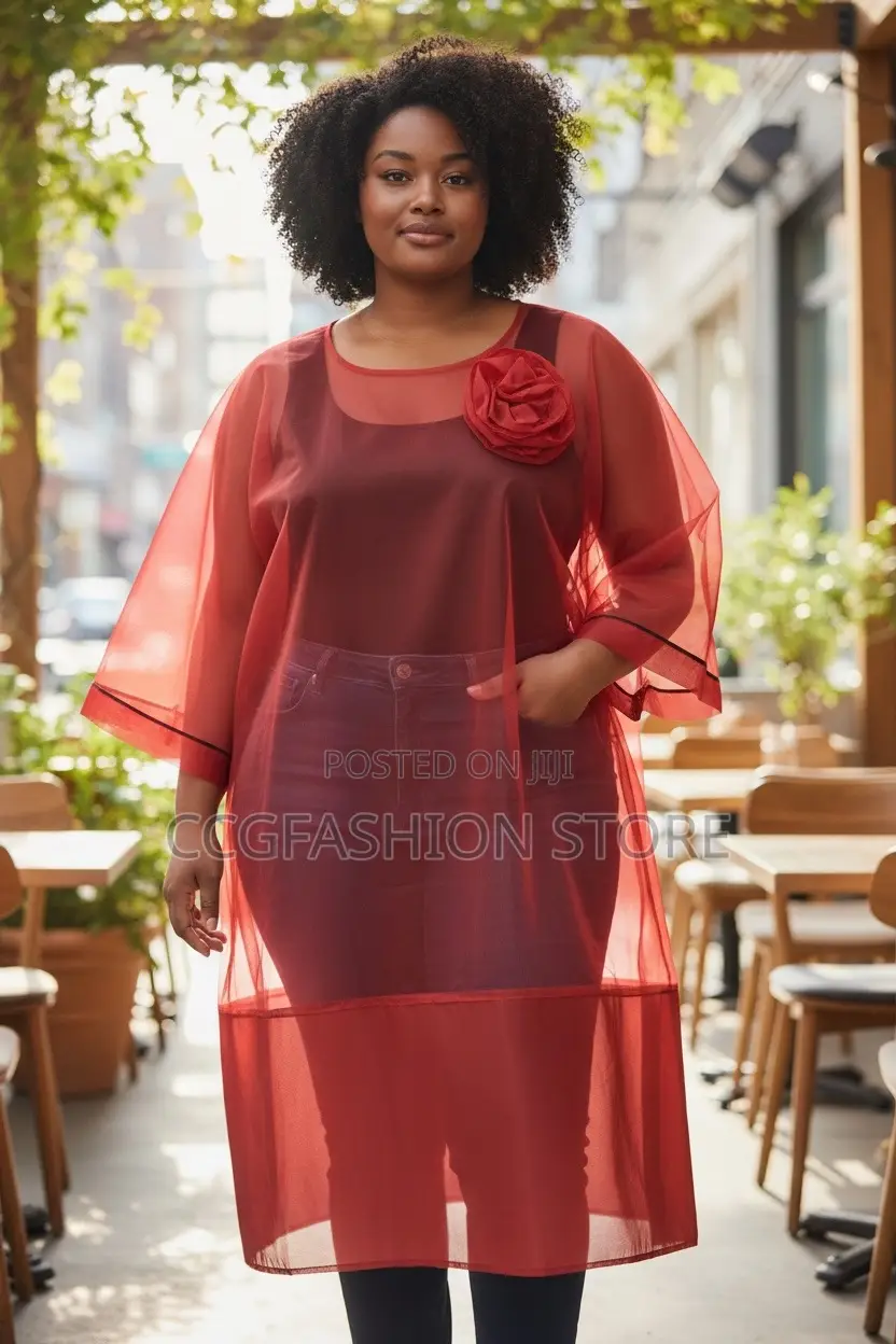 Organza Dress