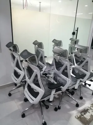 Ergonomic Executive Office Chairs Feature Breathable Mesh Backs