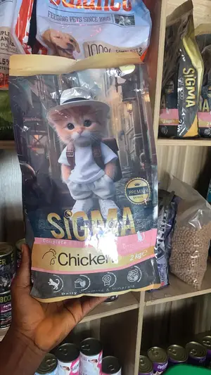 Pet Store for Dog and Cat