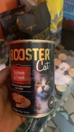 Pet Store For Dog And Cat