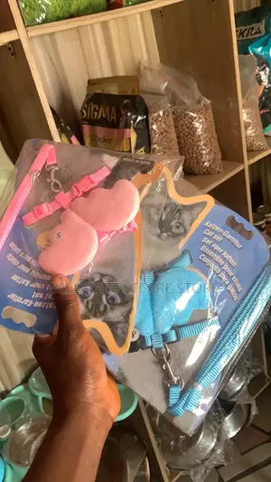 Pet Store for Dog and Cat