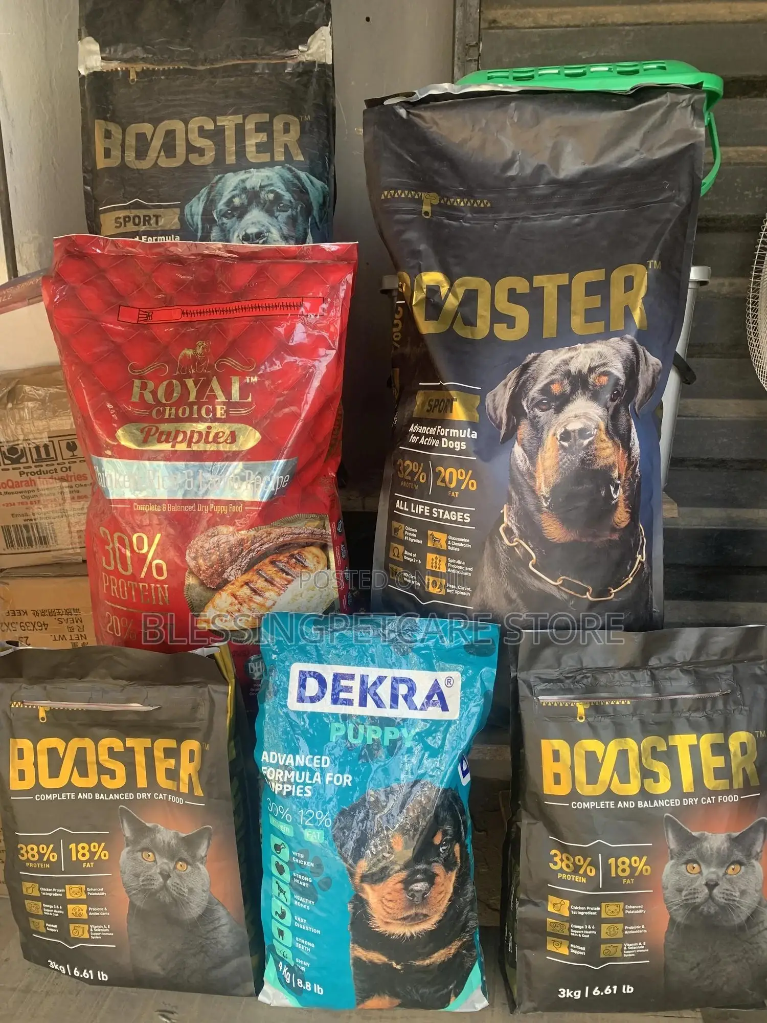 Pet Store for Dog and Cat