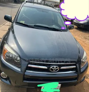 Toyota RAV4 Limited 2007 Gray