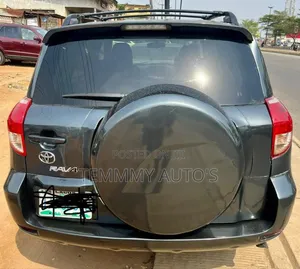 Toyota RAV4 Limited 2007 Gray