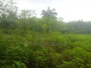 Property Available for Sales
