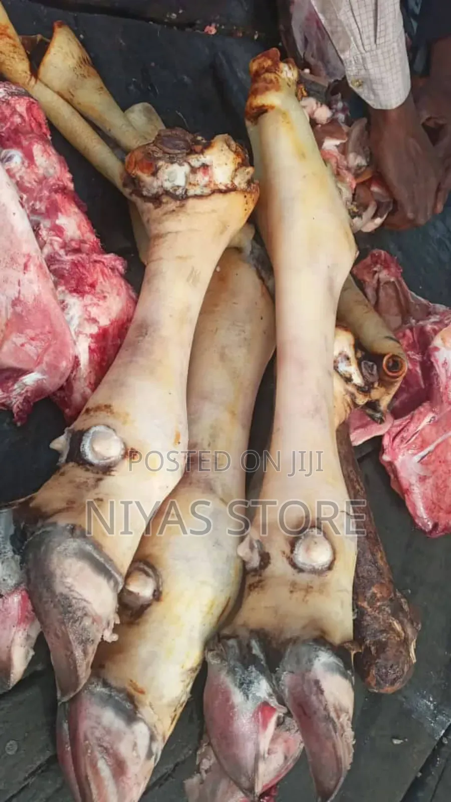 Freshly Slaughtered Cow And Ram