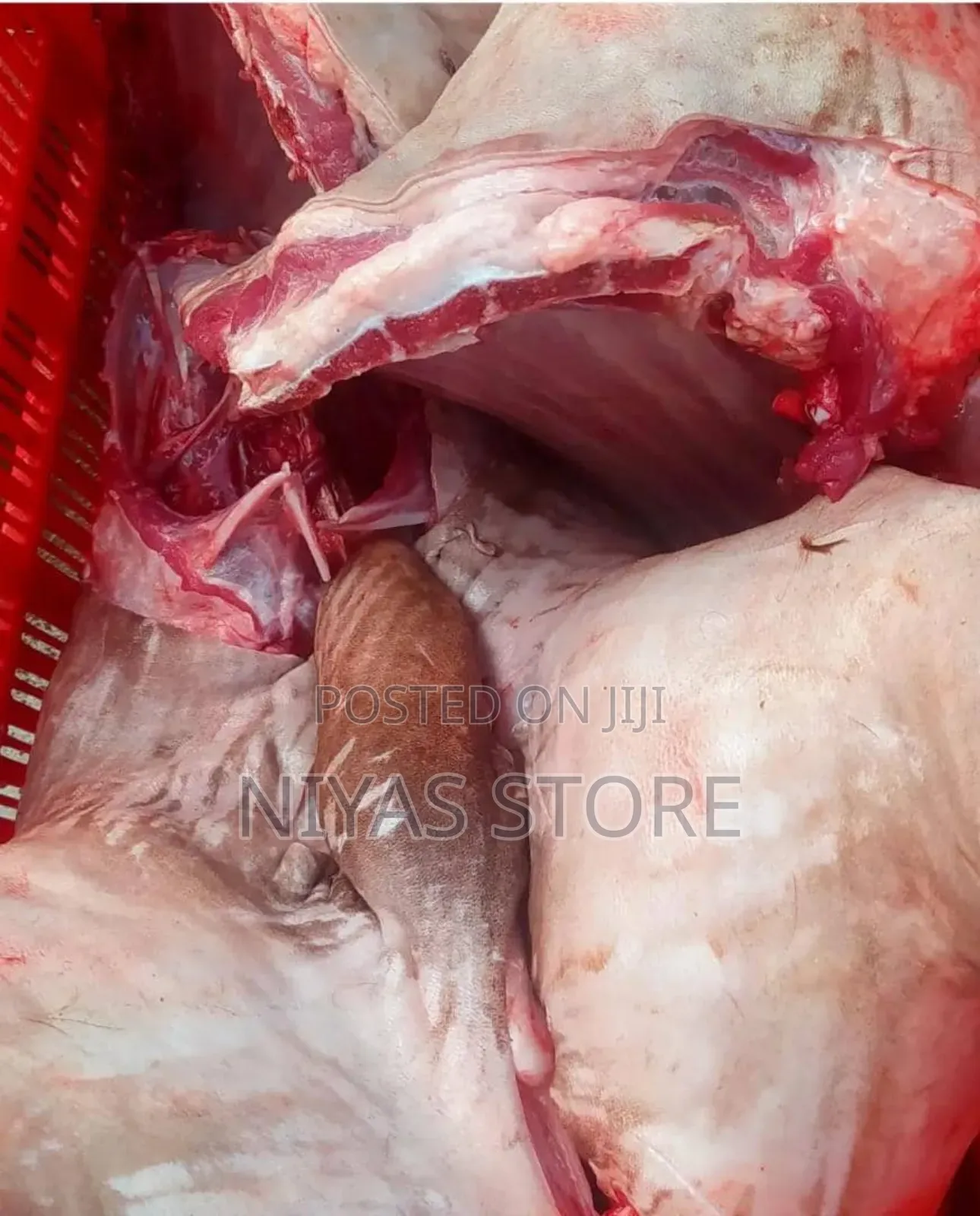 Freshly Slaughtered Cow And Ram