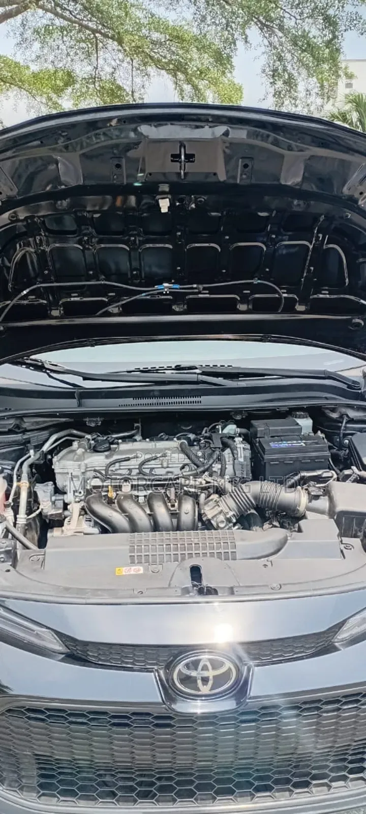 Toyota Corolla LE 2022 Beige