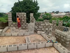 Site Engineer and a Builder
