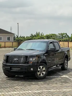Ford F-150 FX4 2011 Black
