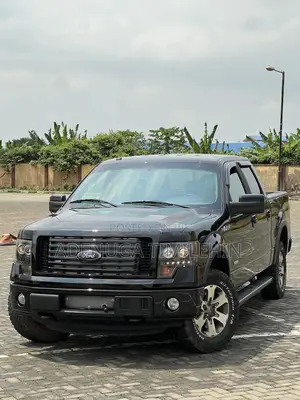 Ford F-150 FX4 2011 Black
