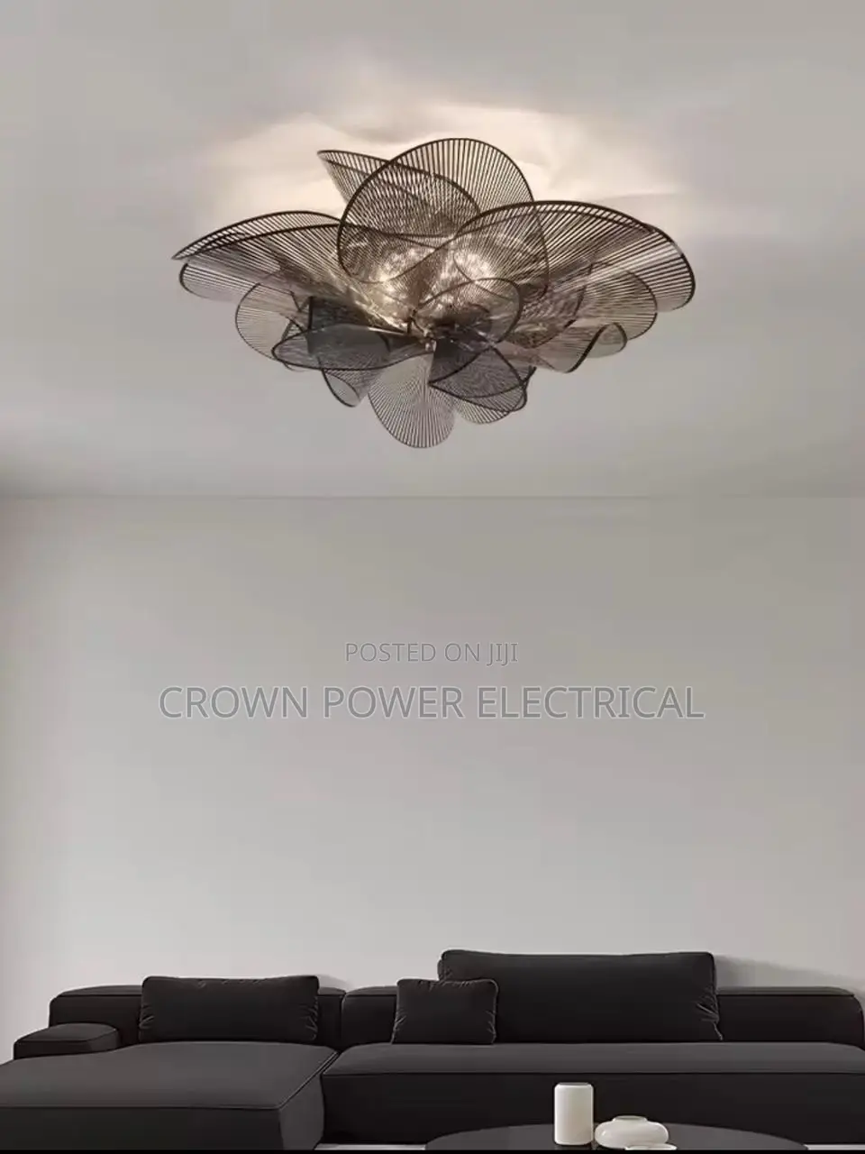 Luxurious Ceiling Lights