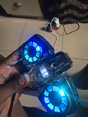 Dual Phone Cooler