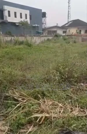 1,300sqm Land at Omole Phase Viable for Both Residential Commerciall