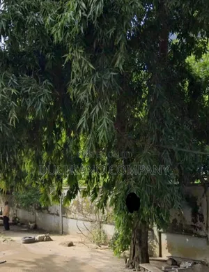 Oniru: 1,315 SQM Land for Sale