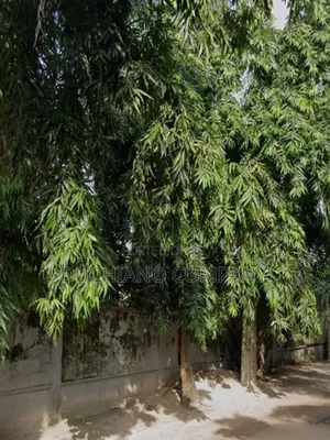 Oniru: 1,315 SQM Land for Sale