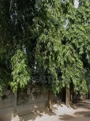 Oniru: 1,315 SQM Land for Sale