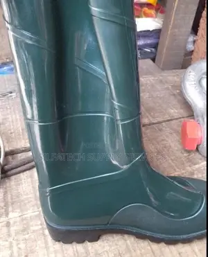 Original Rainboot