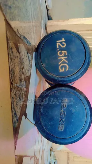 12.5kg Roundhead Dumbbell