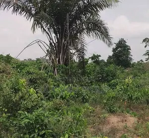 Plots of Land Available for Sale