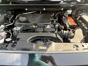 Toyota RAV4 XLE AWD 2019 Black