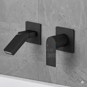 Adjustable Black Conceal Mixer Tap