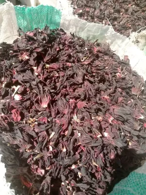 Premium Dried Hibiscus Flower (Zobo Leaf)