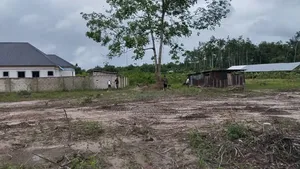 100 by 50 Plot of Land