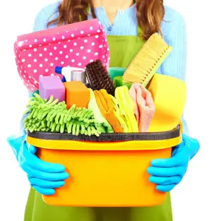 Profesional House Cleaning
