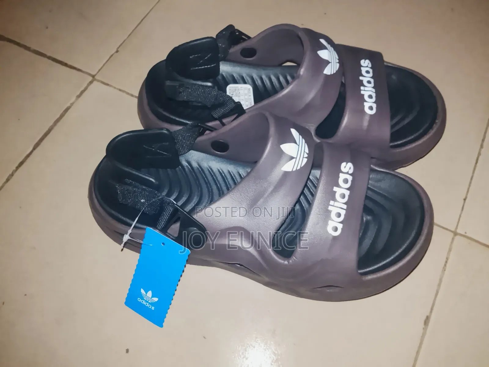 Arise Shine LTD