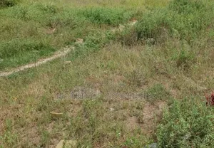 Dry Land for Sale in Ikate Lekki Lagos