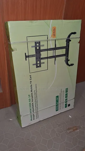 Tv Hanger For Professional Big Screen Tv Displays