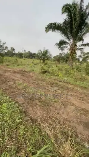 Available 3 Plots for Sale Agbarho Delta State,
