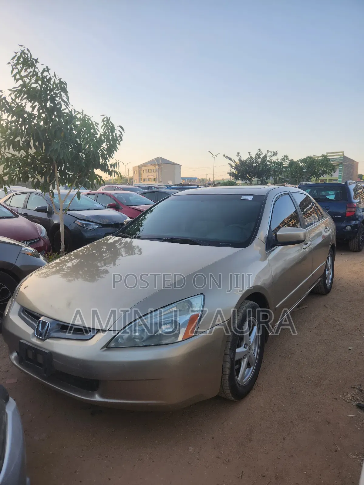 Honda Accord 2004 Gold