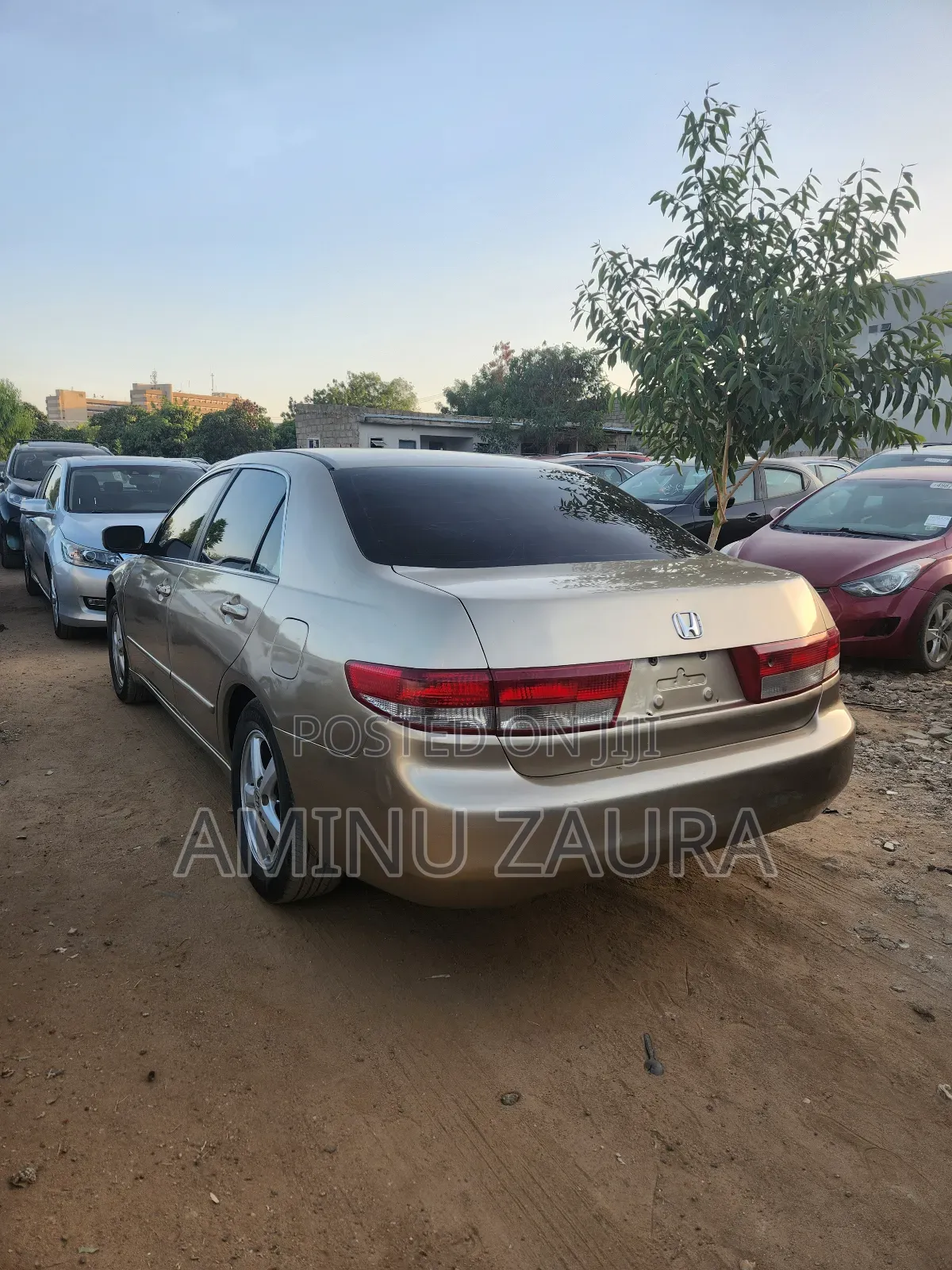 Honda Accord 2004 Gold