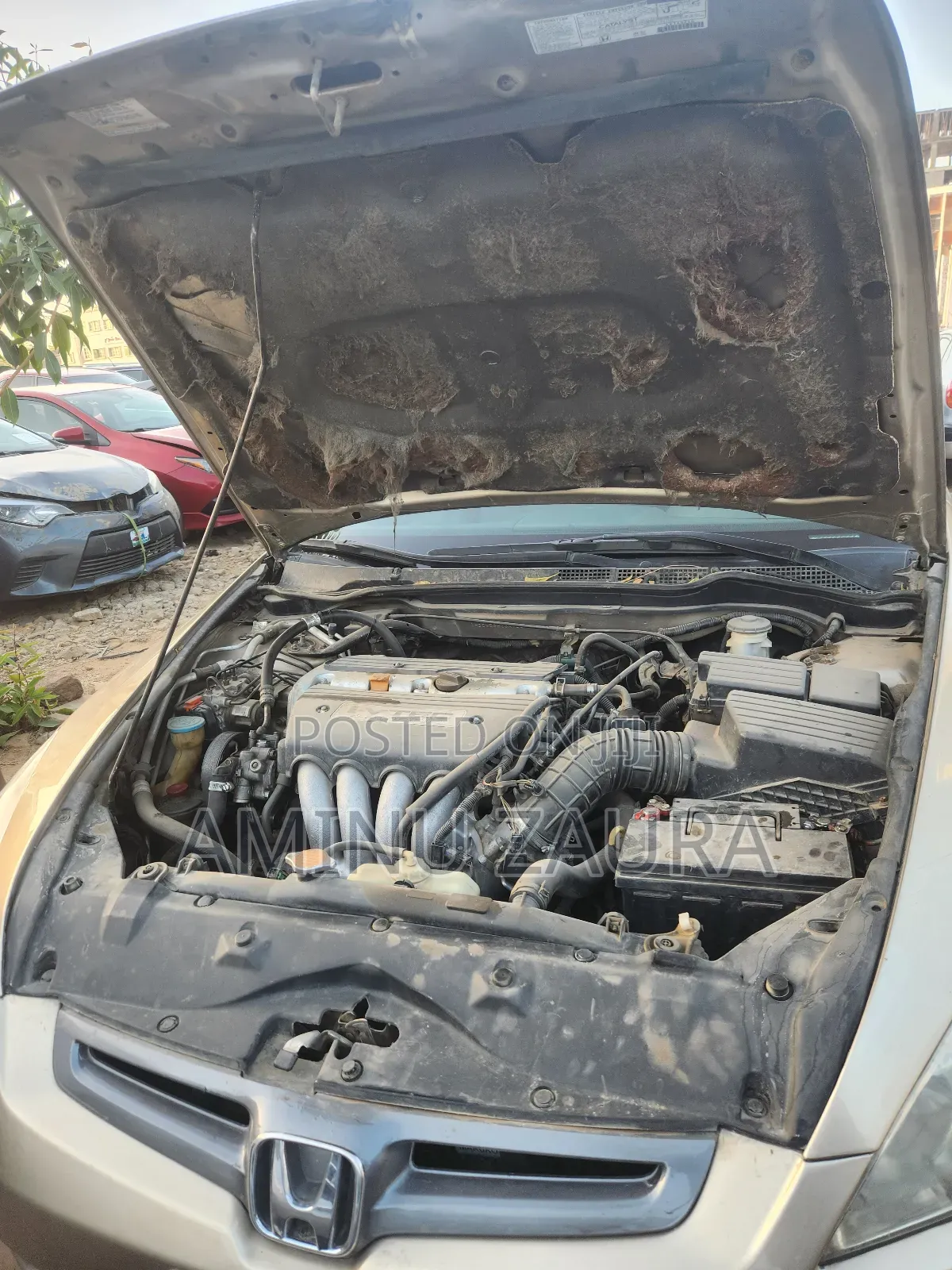 Honda Accord 2004 Gold
