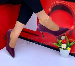 Stilletoe Shoes