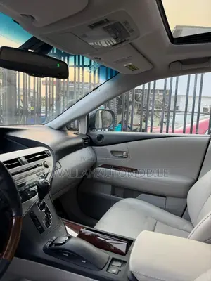 Lexus RX 350 2010 Gray