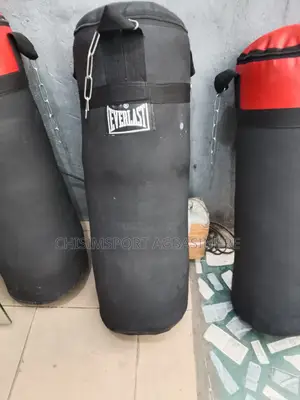 Punching Bag Big One